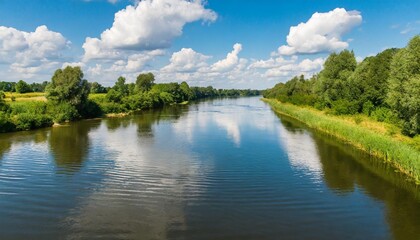 view of the river in summer