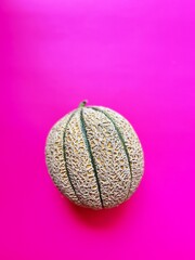 melon, round melon on a pink background, fresh fruit, healthy food, rough melon peel