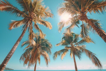 Lush green palm trees are set against a vivid blue sky, encapsulating the essence of tropical beauty