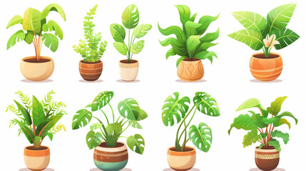 Home potted plants. Cartoon houseplants in pots for interior. Decorative monstera, palm in pot, ficus in basket, pilea in vase. Indoor green plants, foliage, leaves 3D avatars set vector icon, white b