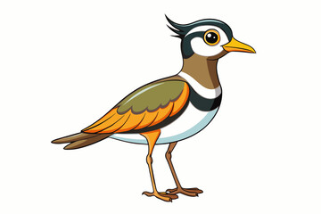 lapwing bird vector illustration