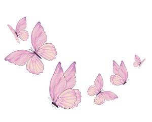 decorative pink butterflies flowers of retro vintage style butterflies. Vector illustration design for fashion, tee, t shirt, print, poster, graphic, background butterfly