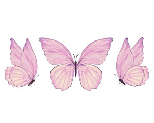 decorative pink butterfly  flowers of retro vintage style butterflies. Vector illustration design for fashion, tee, t shirt, print, poster, graphic, background butterfly