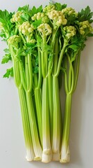 Vibrant Thai Celery Stalks on White Background