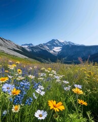 Fototapeta premium Wildflowers against a blue sky in sunny day with mountain