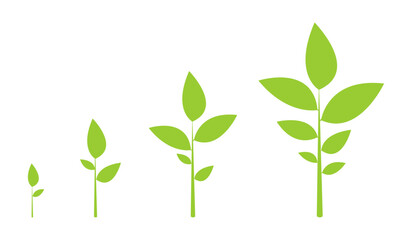 natural plant growth