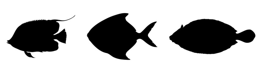 sea food, sea fish silhouette