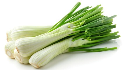 Vivid Studio Shot of Organic Thai Fennel Bunch Isolated on Clean White Background