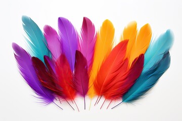 Colorful array of feathers on white background, Vibrant feathers in a line on white backdrop.