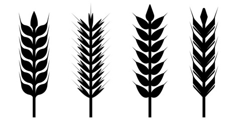 grain, wheat icon © afiatun