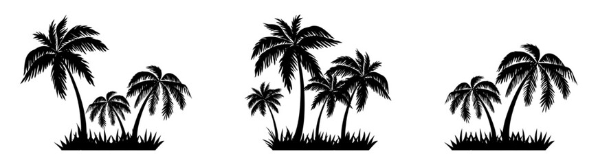 tropical coconut, palm tree silhouette