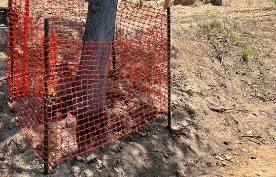 Tree protection at a construction site