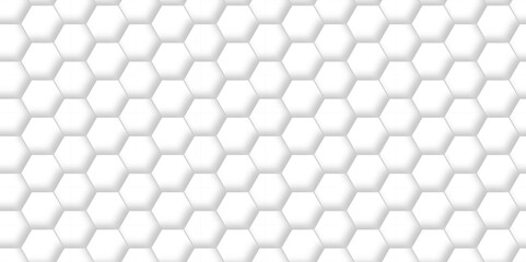vector abstract pattern with hexagonal white and gray technology line paper background. Hexagonal 3d grid tile and mosaic structure mess cell. white and gray hexagon honeycomb geometric copy space.