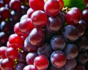 Grapes Stock Photo, 
Plant, White Grape, Close-up, Fruit, Generated By Ai
