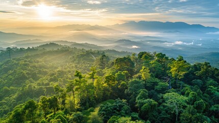 Doi Inthanon the lush forest crowning the picturesque landscape of Chiang Mai Thailand stands as...