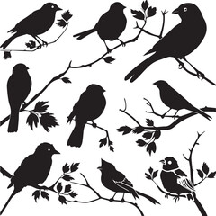 set of birds