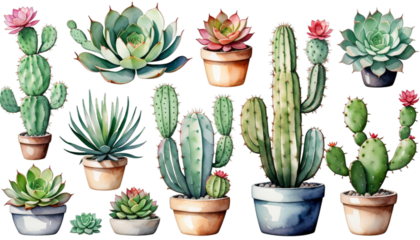 photos card elements dding illustration natural design set wreaths greeting succulent cactus watercolor blogs white botanical collection colours flower isolated plant mexican green nature hand