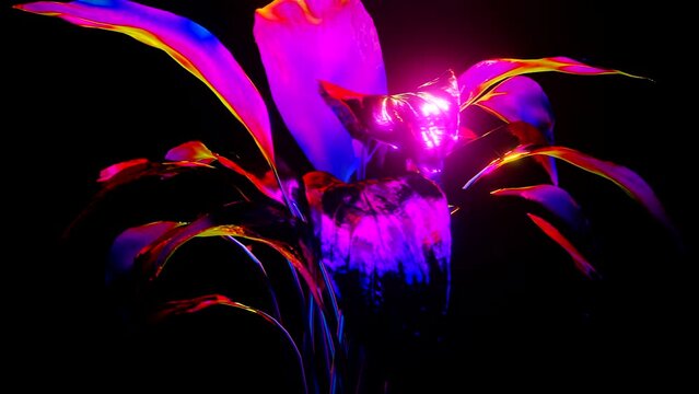 genetic wilderness: hybridization [eternal jungle flora]