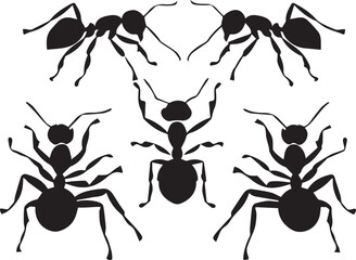 set of ants