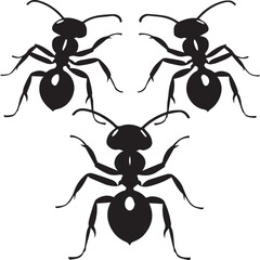 ants