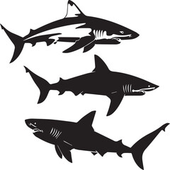 set of sharks