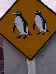 penguin on a sign