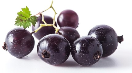Fototapeta premium Black currant berries closeup isolated on white background