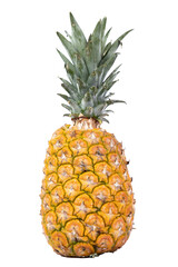 A ripe and whole pineapple. not background