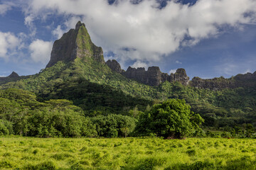 Intérieur de l'île de Moorea en Polynésie Française