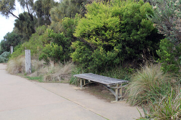 Fototapeta premium Peaceful outdoor setting with a concrete pathway, bench seat, grass and trees