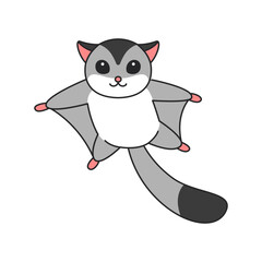 Cute sugar glider illustration