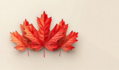 Happy Canada Day. Red maple leaf isolated on a background. Canada Civic Day Holiday card.  Festive banner for celebrate the national day of Canada. with place for text.	
