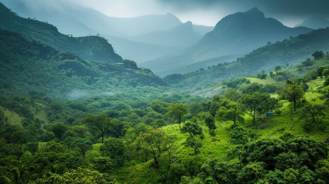 Capture a stunning landscape photograph showcasing the lush greenery of the majestic Western Ghats in Karnataka