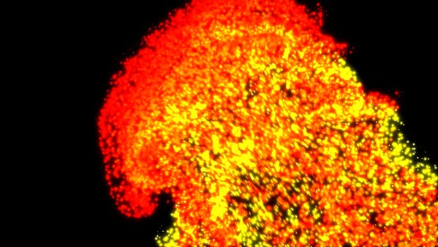 jetstream dynamics: liquid plasma simulation [right flame jet]