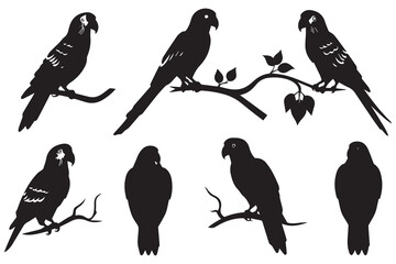 Set of silhouette parrots Vector Illustration