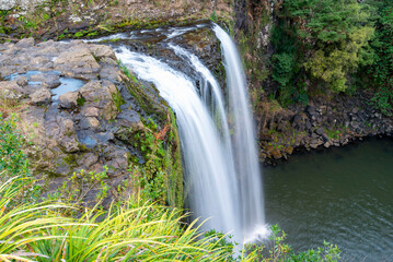 Obraz premium Whangarei Falls - New Zealand