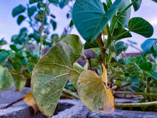 Captured Pictures of Natures Finest Moments 