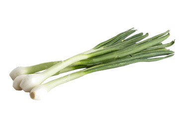 PSD Bunch of bottomless spring onions