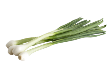 PSD Bunch of bottomless spring onions