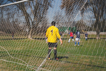 attentive goalkeeper in the goal playing soccer game