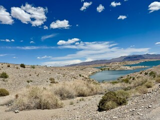 an oasis in the middle of the wild desert - a lake in the Las Vegas desert