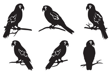 parrot silhouettes Vector Illustration