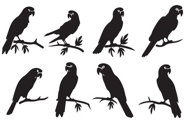 Vector parrot silhouettes of amazon jungle isolated on white background