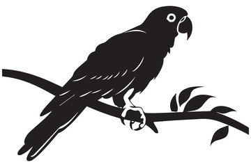 parrot silhouettes Vector Illustration