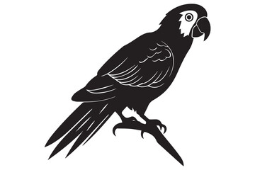 silhouette of Parrot Vector Illustration