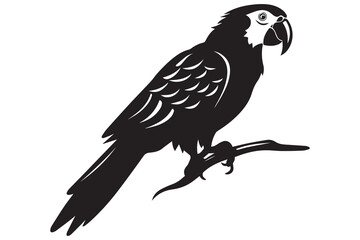 silhouette of Parrot Vector Illustration