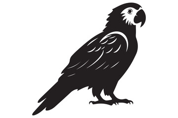 Black silhouette set of parrot on a white background