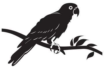 Black silhouette set of parrot on a white background