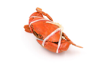 steamed crab on a white background