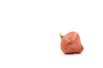 onion isolated on white